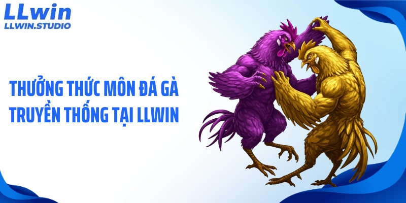 Thưởng thức môn đá gà truyền thống tại LLWIN